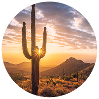 Tucson Arizona